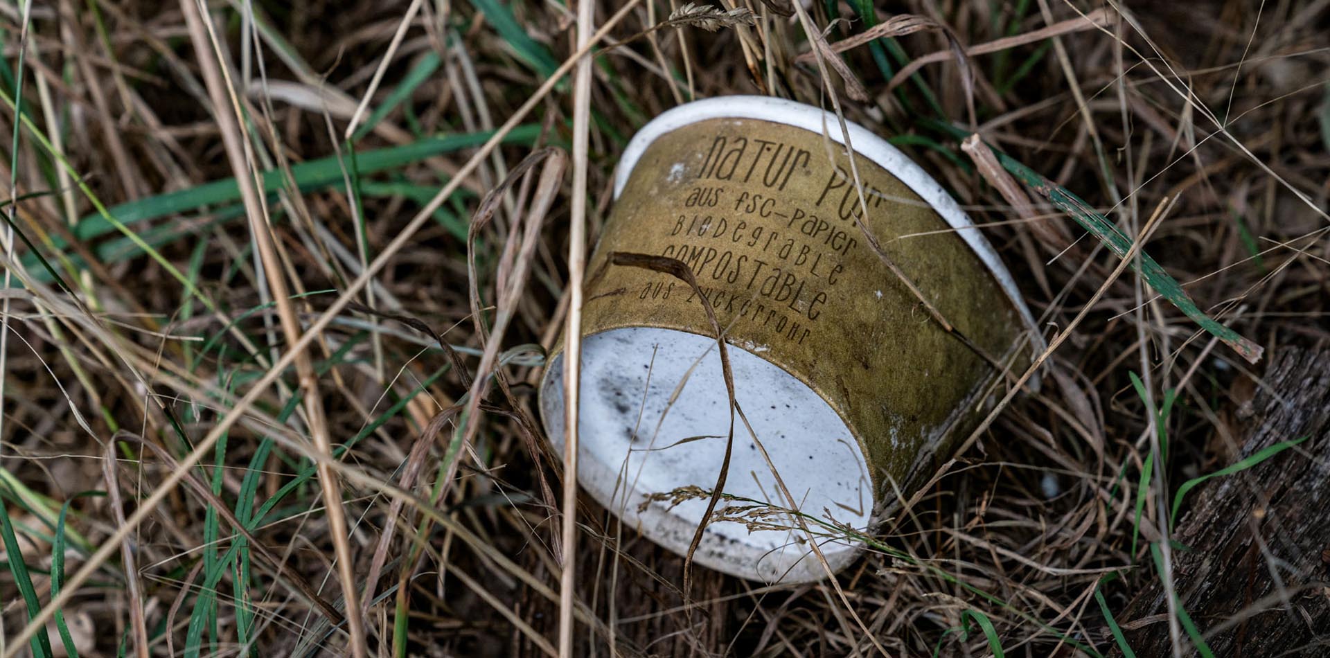 ein brauner Becher liegt im hohen Gras