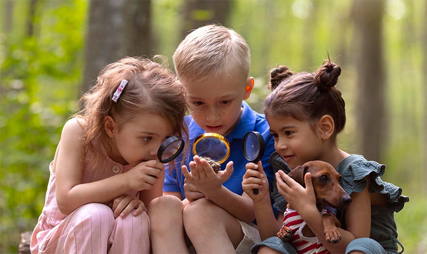 drei Kinder sitzen im Wald und betrachten etwas mit einer Lupo