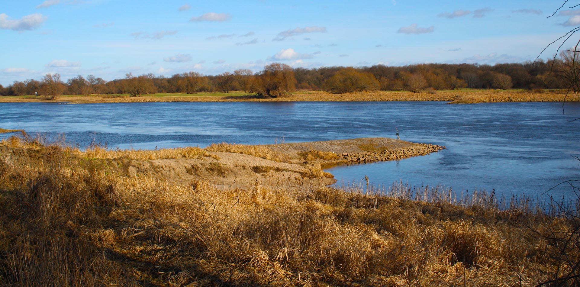 Elbe mit Buhne bei Magdeburg