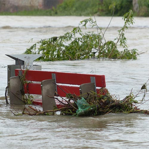 eine Bank steht im Wasser, Treibgut