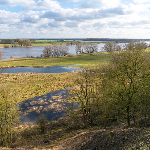 Elbauenlandshaft