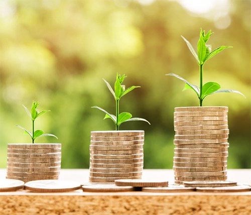 drei jeweils größer werdende Münzstapel mit Pflanzentrieb obenauf