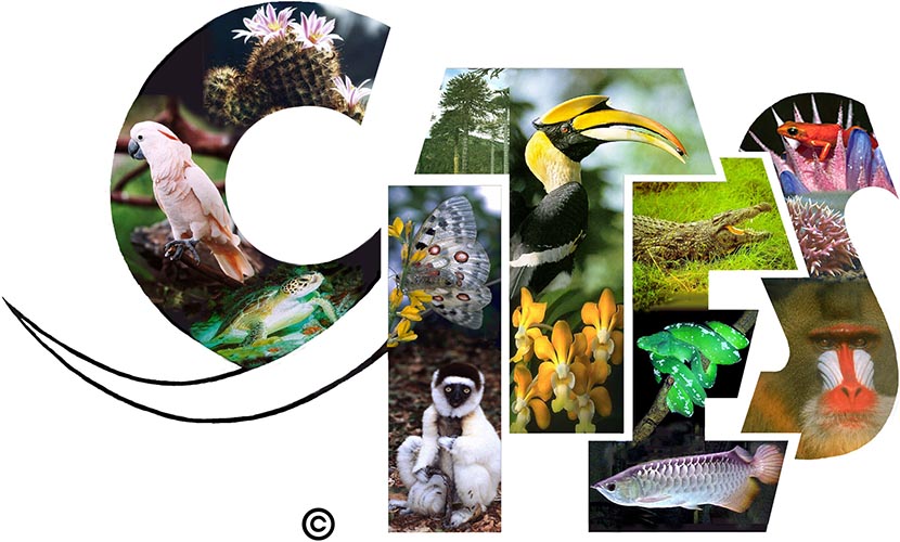 Logo des Washingtoner Artenschutzübereinkommen, Convention on International Trade in Endangered Species of Wild Fauna and Flora (kurz CITES, deutsch Übereinkommen über den internationalen Handel mit gefährdeten Arten freilebender Tiere und Pflanzen)