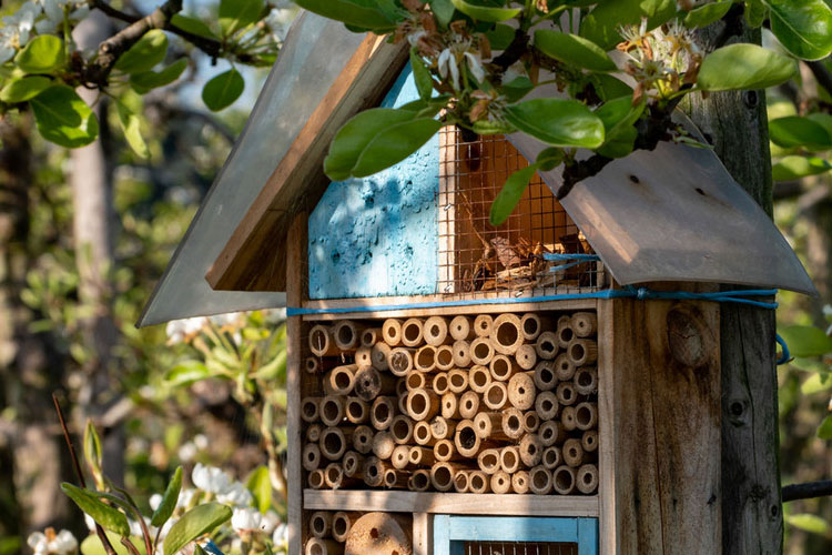 ein Insektenhotel steht am Waldrand