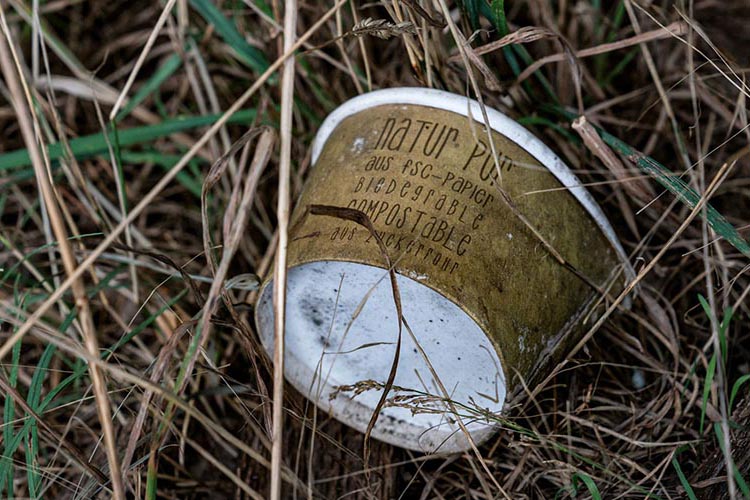 ein brauner Becher liegt im hohen Gras